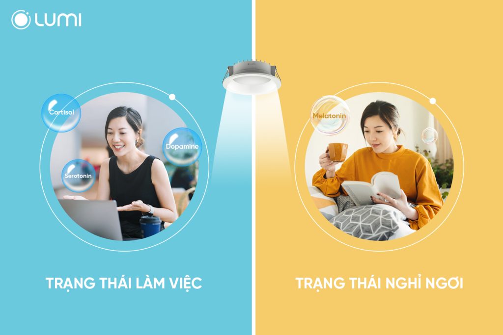 Các trạng thái khác nhau phù hợp với loại ánh sáng khác nhau
