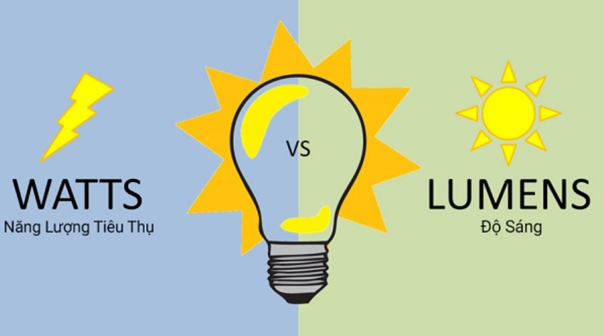 Hiệu suất phát quang