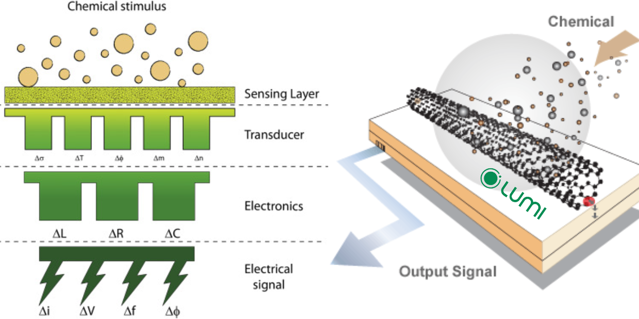Nguyên lý hoạt động của cảm biến hóa học