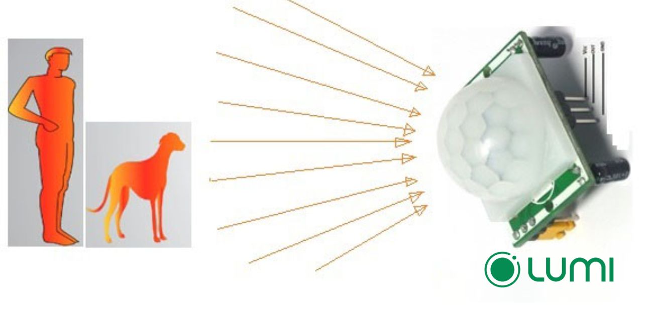 Bức xạ hồng ngoại từ cơ thể người sẽ được thấu kính Fresnel gom và định hướng về phía cảm biến để xác nhận